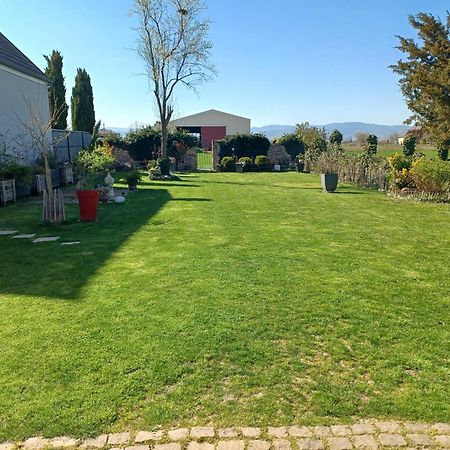 مبيت وإفطار Cote Cour Bischwihr Colmar المظهر الخارجي الصورة