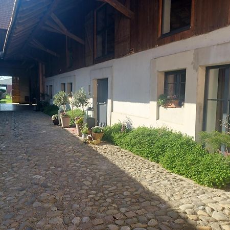 مبيت وإفطار Cote Cour Bischwihr Colmar المظهر الخارجي الصورة