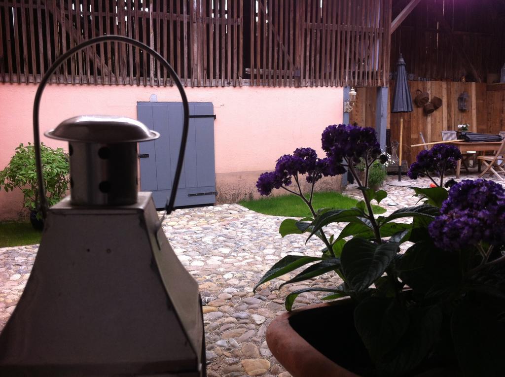 مبيت وإفطار Cote Cour Bischwihr Colmar المظهر الخارجي الصورة
