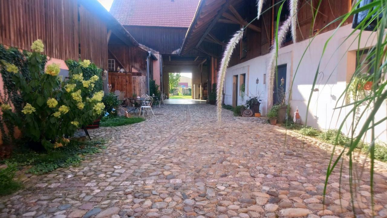 مبيت وإفطار Cote Cour Bischwihr Colmar المظهر الخارجي الصورة